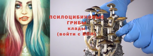 a pvp Бородино
