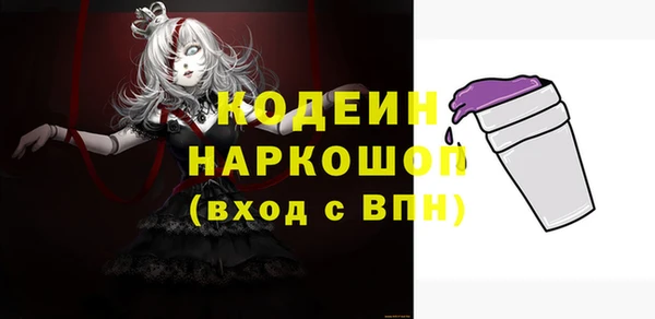 a pvp Бородино