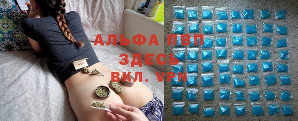 a pvp Бородино