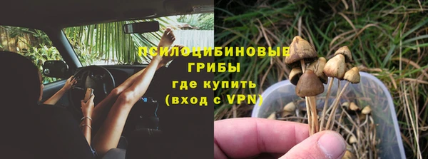 экстази Богородицк