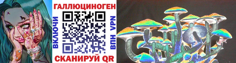 Галлюциногенные грибы мицелий  Судак 